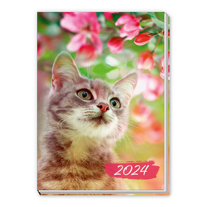 Trötsch Taschenkalender A7 Katze 2024 von Trötsch Verlag GmbH & Co. KG