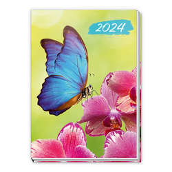 Trötsch Taschenkalender A7 Schmetterling 2024 von Trötsch Verlag GmbH & Co. KG