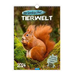 Trötsch Wochenkalender zum Hängen Heimische Tierwelt 2024 von Trötsch Verlag GmbH & Co. KG