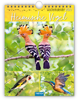 Trötsch Wochenkalender zum Hängen Hemische Vögel 2023 von Trötsch Verlag GmbH & Co. KG