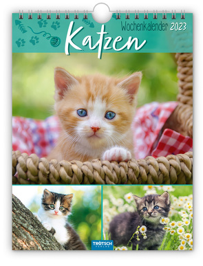 Trötsch Wochenkalender zum Hängen Katzen 2023 von Trötsch Verlag GmbH & Co. KG