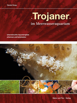 Trojaner im Meerwasseraquarium von Knop,  Daniel
