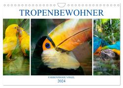 Tropenbewohner – farbenfrohe Vögel (Wandkalender 2024 DIN A4 quer), CALVENDO Monatskalender von Brunner-Klaus,  Liselotte