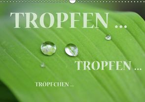 Tropfen … Tropfen … Tröpfchen … (Wandkalender immerwährend DIN A3 quer) von GUGIGEI,  k.A.