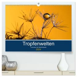 Tropfenwelten; Faszination der Makrofotografie (hochwertiger Premium Wandkalender 2024 DIN A2 quer), Kunstdruck in Hochglanz von Jachalke,  Doris