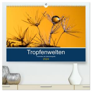 Tropfenwelten; Faszination der Makrofotografie (hochwertiger Premium Wandkalender 2024 DIN A2 quer), Kunstdruck in Hochglanz von Jachalke,  Doris