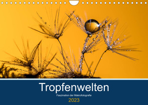 Tropfenwelten; Faszination der Makrofotografie (Wandkalender 2023 DIN A4 quer) von Jachalke,  Doris