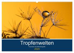 Tropfenwelten; Faszination der Makrofotografie (Wandkalender 2024 DIN A2 quer), CALVENDO Monatskalender von Jachalke,  Doris