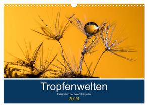Tropfenwelten; Faszination der Makrofotografie (Wandkalender 2024 DIN A3 quer), CALVENDO Monatskalender von Jachalke,  Doris