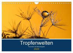 Tropfenwelten; Faszination der Makrofotografie (Wandkalender 2024 DIN A4 quer), CALVENDO Monatskalender von Jachalke,  Doris