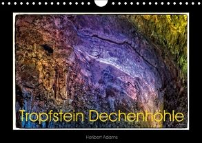 Tropfstein Dechenhöhle (Wandkalender 2018 DIN A4 quer) von Adams foto-you.de,  Heribert
