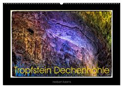 Tropfstein Dechenhöhle (Wandkalender 2024 DIN A2 quer), CALVENDO Monatskalender von Adams foto-you.de,  Heribert