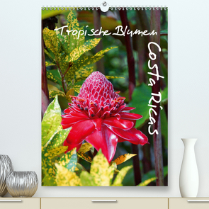 Tropische Blumen Costa Ricas (Premium, hochwertiger DIN A2 Wandkalender 2020, Kunstdruck in Hochglanz) von M.Polok
