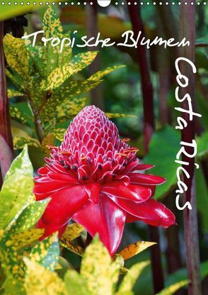 Tropische Blumen Costa Ricas (Wandkalender 2019 DIN A3 hoch) von M.Polok