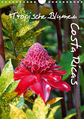 Tropische Blumen Costa Ricas (Wandkalender 2020 DIN A4 hoch) von M.Polok