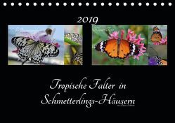 Tropische Falter in Schmetterlings-Häusern (Tischkalender 2019 DIN A5 quer) von Schröder,  Diana