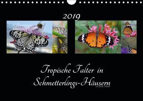 Tropische Falter in Schmetterlings-Häusern (Wandkalender 2019 DIN A4 quer) von Schröder,  Diana