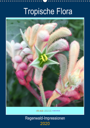 Tropische Flora (Wandkalender 2020 DIN A2 hoch) von Zapf,  Gabi