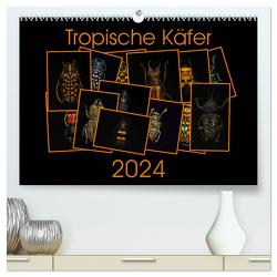 Tropische Käfer (hochwertiger Premium Wandkalender 2024 DIN A2 quer), Kunstdruck in Hochglanz von Körner,  Burkhard