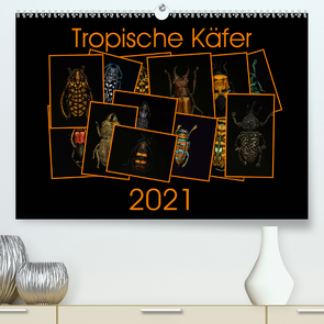 Tropische Käfer (Premium, hochwertiger DIN A2 Wandkalender 2021, Kunstdruck in Hochglanz) von Körner,  Burkhard