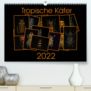 Tropische Käfer (Premium, hochwertiger DIN A2 Wandkalender 2022, Kunstdruck in Hochglanz) von Körner,  Burkhard