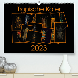 Tropische Käfer (Premium, hochwertiger DIN A2 Wandkalender 2023, Kunstdruck in Hochglanz) von Körner,  Burkhard