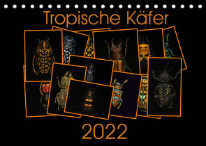 Tropische Käfer (Tischkalender 2022 DIN A5 quer) von Körner,  Burkhard
