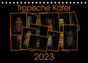 Tropische Käfer (Tischkalender 2023 DIN A5 quer) von Körner,  Burkhard