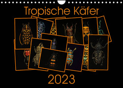 Tropische Käfer (Wandkalender 2023 DIN A4 quer) von Körner,  Burkhard