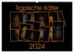 Tropische Käfer (Wandkalender 2024 DIN A2 quer), CALVENDO Monatskalender von Körner,  Burkhard