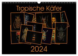 Tropische Käfer (Wandkalender 2024 DIN A3 quer), CALVENDO Monatskalender von Körner,  Burkhard