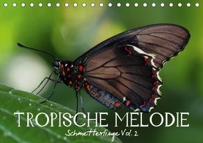 Tropische Melodie – Schmetterlinge Vol.2 (Tischkalender 2018 DIN A5 quer) von Photon (Veronika Verenin),  Vronja