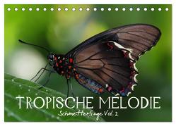 Tropische Melodie – Schmetterlinge Vol.2 (Tischkalender 2024 DIN A5 quer), CALVENDO Monatskalender von Photon (Veronika Verenin),  Vronja