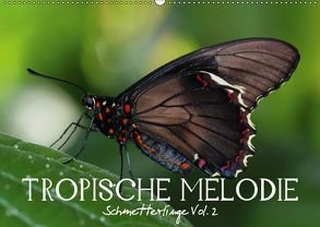 Tropische Melodie – Schmetterlinge Vol.2 (Wandkalender 2018 DIN A2 quer) von Photon (Veronika Verenin),  Vronja