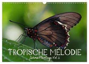 Tropische Melodie – Schmetterlinge Vol.2 (Wandkalender 2024 DIN A3 quer), CALVENDO Monatskalender von Photon (Veronika Verenin),  Vronja