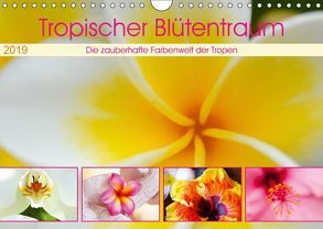 Tropischer Blütentraum (Wandkalender 2019 DIN A4 quer) von Travelpixx.com