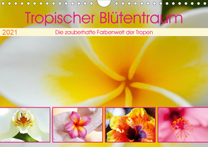 Tropischer Blütentraum (Wandkalender 2021 DIN A4 quer) von Travelpixx.com
