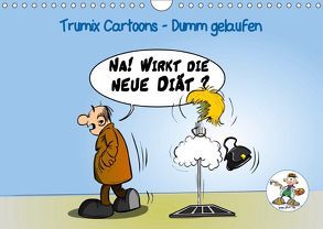 Trumix Cartoons – Dumm gelaufen (Wandkalender 2019 DIN A4 quer) von (Reinhard Trummer),  Trumix.de