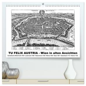 TU FELIX AUSTRIA – Wien in alten Ansichten (hochwertiger Premium Wandkalender 2024 DIN A2 quer), Kunstdruck in Hochglanz von Liepke,  Claus