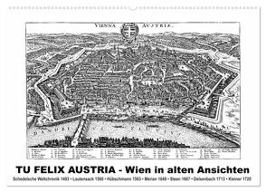 TU FELIX AUSTRIA – Wien in alten Ansichten (Wandkalender 2024 DIN A2 quer), CALVENDO Monatskalender von Liepke,  Claus