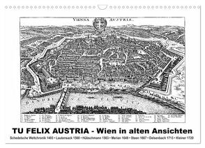 TU FELIX AUSTRIA – Wien in alten Ansichten (Wandkalender 2024 DIN A3 quer), CALVENDO Monatskalender von Liepke,  Claus