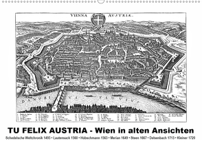 TU FELIX AUSTRIA – Wien in alten AnsichtenAT-Version (Wandkalender 2020 DIN A2 quer) von Liepke,  Claus
