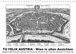 TU FELIX AUSTRIA – Wien in alten AnsichtenAT-Version (Wandkalender 2023 DIN A4 quer) von Liepke,  Claus