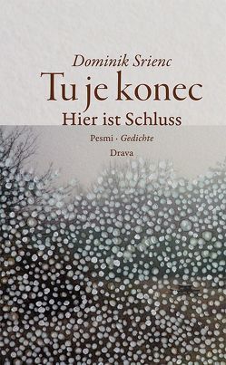 Tu je konec · Hier ist Schluss von Srienc,  Dominik