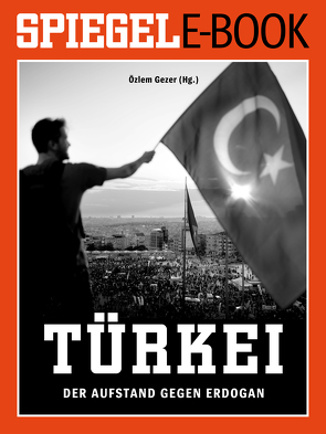 Türkei – Der Aufstand gegen Erdogan von Gezer,  Özlem