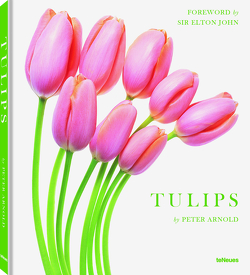 Tulips von Arnold,  Peter