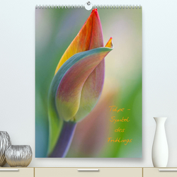 Tulpe – Symbol des Frühlings (Premium, hochwertiger DIN A2 Wandkalender 2022, Kunstdruck in Hochglanz) von Kuhlmann,  Marita