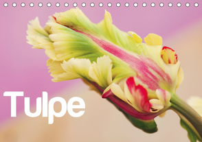 Tulpe (Tischkalender 2021 DIN A5 quer) von JUSTART