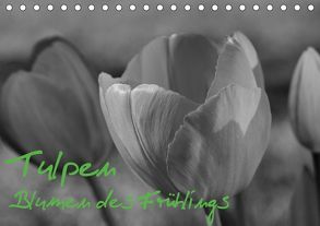 Tulpen – Blumen des Frühlings (Tischkalender 2019 DIN A5 quer) von Reuke,  Sabine