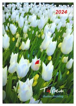 Tulpen. Bunter Frühling (Tischkalender 2024 DIN A5 hoch), CALVENDO Monatskalender von Kareva,  Eugeniya